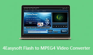 Konwerter wideo 4 Easysoft Flash na MPEG4