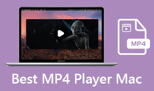 最佳 MP4 播放器 Mac