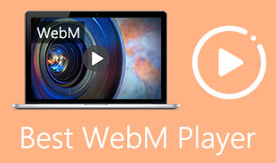 Najbolji WebM player