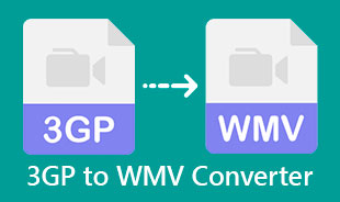 Najbolji 3GP u WMV pretvarač