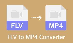 Najlepszy konwerter FLV na MP4