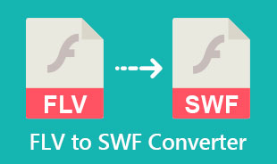 En İyi FLV'den SWF'ye Dönüştürücü