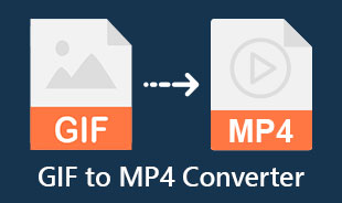 MP4 Dönüştürücüye En İyi GIF