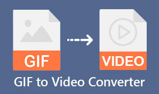 Video Dönüştürücüye En İyi GIF