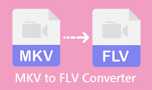 En İyi MKV'den FLV'ye Dönüştürücü