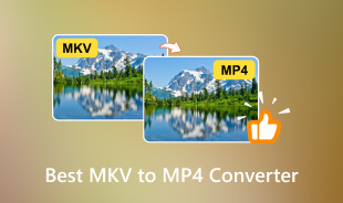 Best MKV to MP4 Converter