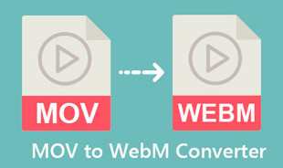 MOV u WebM Converter