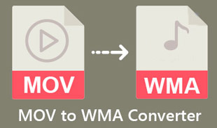 MOV'den WMA'ye Dönüştürücü