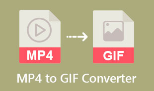 Bästa MP4 till GIF-konverterare