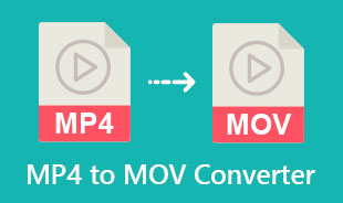 MOV Dönüştürücü için En İyi MP4