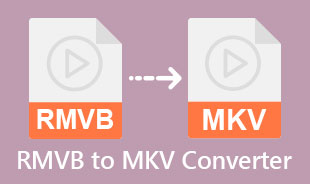 Meilleur convertisseur RMVB en MKV
