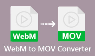 Najlepszy konwerter WebM na MOV