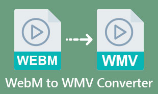 最好的 WebM 到 WMV 转换器