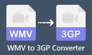 En İyi WMV'den 3GP'ye Dönüştürücü