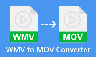 Bästa WMV till MOV Converter
