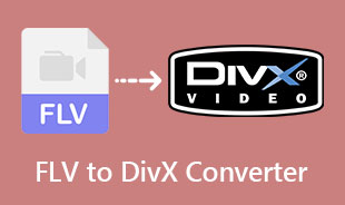 Najbolji pretvarač FLV u DivX