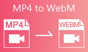 MP4 Ke WebM