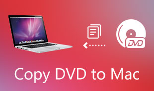 將 DVD 複製到 Mac