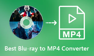 Recensioni Blu-ray a MP4 Ripper