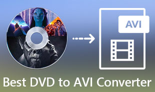 评论 DVD 到 AVI 转换器