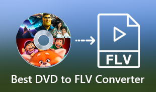 評論 DVD 到 FLV 轉換器