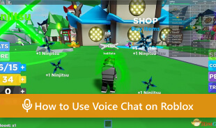 So verwenden Sie den Voice-Chat auf Roblox s