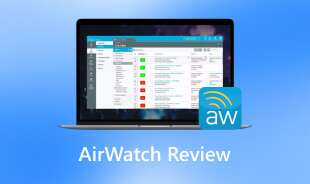 Revizuirea AirWatch