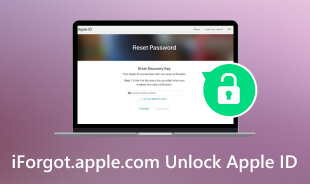 iForgot Apple.com בטל את הנעילה של Apple ID