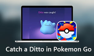 Bắt Ditto trong Pokemon Go