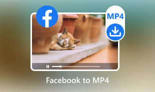 Facebook в MP4