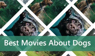 Bästa filmer om hundar
