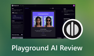 Playground AI recension