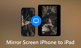 Mirror Screen iPhone to iPad