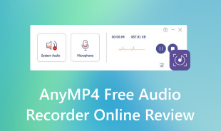 Anymp4 Gratis audiorecorder online recensie