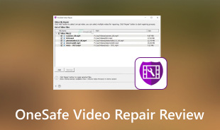 Onesafe Video Repair Review S