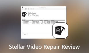 Stellar Video Repair 리뷰 S