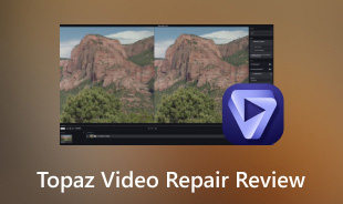 Topaz Video Repair Review S