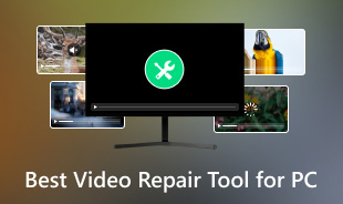 Best Video Repair Tool For PC