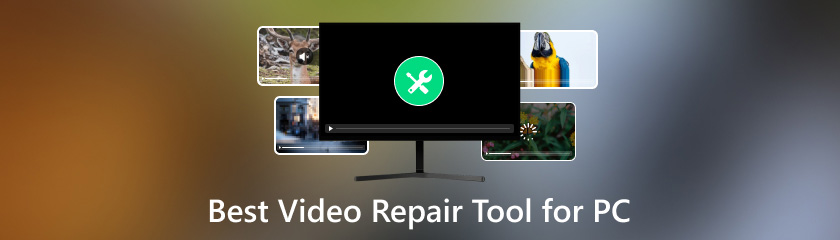 Bestes Videoreparaturtool für den PC