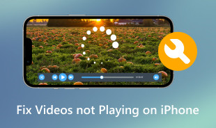 Cómo solucionar el problema de que los videos no se reproducen en el iPhone