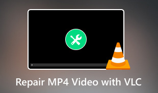 Reparieren Sie MP4-Videos mit VLC