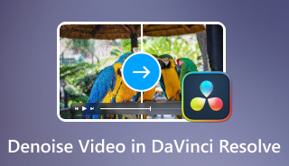 Denoise Video i Davinci Resolve