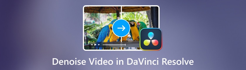 Video Denoise dalam Davinci Resolve