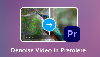 Denoise Video in Premiere