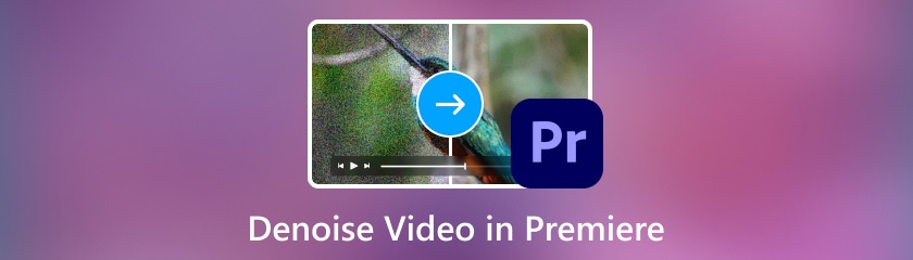 Denoise Video in Premiere