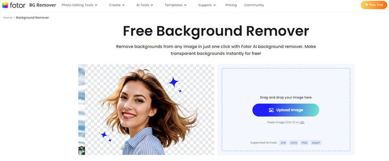 Fotor AI Background Remover