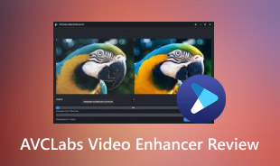 AVCLabs Video Enhancer Review