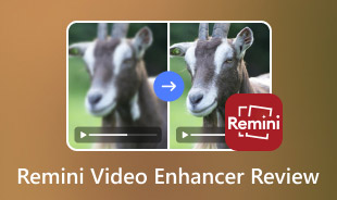 Miglioratore video Remini