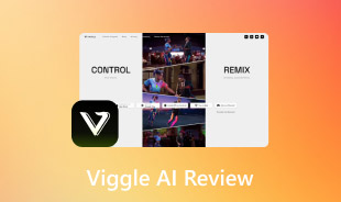 Recenze Viggle Ai