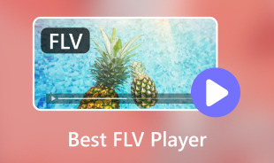 Best Flv Player